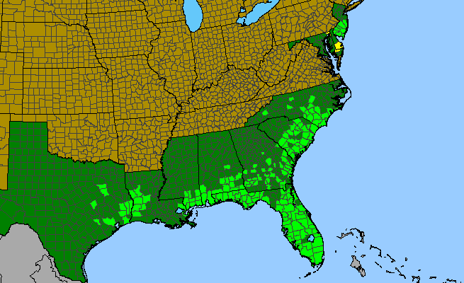 The range of Eriocaulon compressum